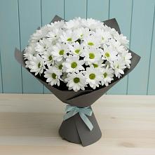 Букет цветов из:  Хризантемы в Гремячинске