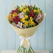 Букет цветов из:  Альстромерии в Гремячинске