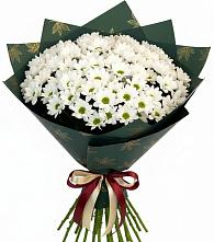 Букет цветов из:  Хризантемы #REPLACE_PRED# Гремячинске