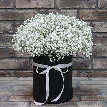 Цветочная композиция из Гипсофила в шляпной коробке в Гремячинске