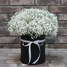 Цветочная композиция из Гипсофила в шляпной коробке в Гремячинске