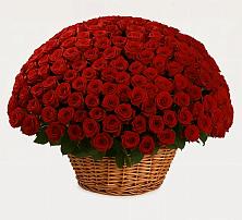 Премиум букет из: Розы в Гремячинске