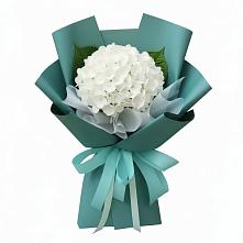 Букет цветов из:  Гортензия #REPLACE_PRED# Гремячинске